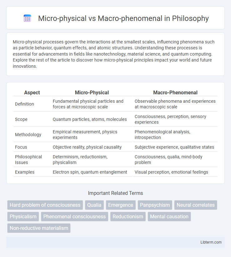 Macro-phenomenal vs Micro-physical in Philosophy - What is The Difference?