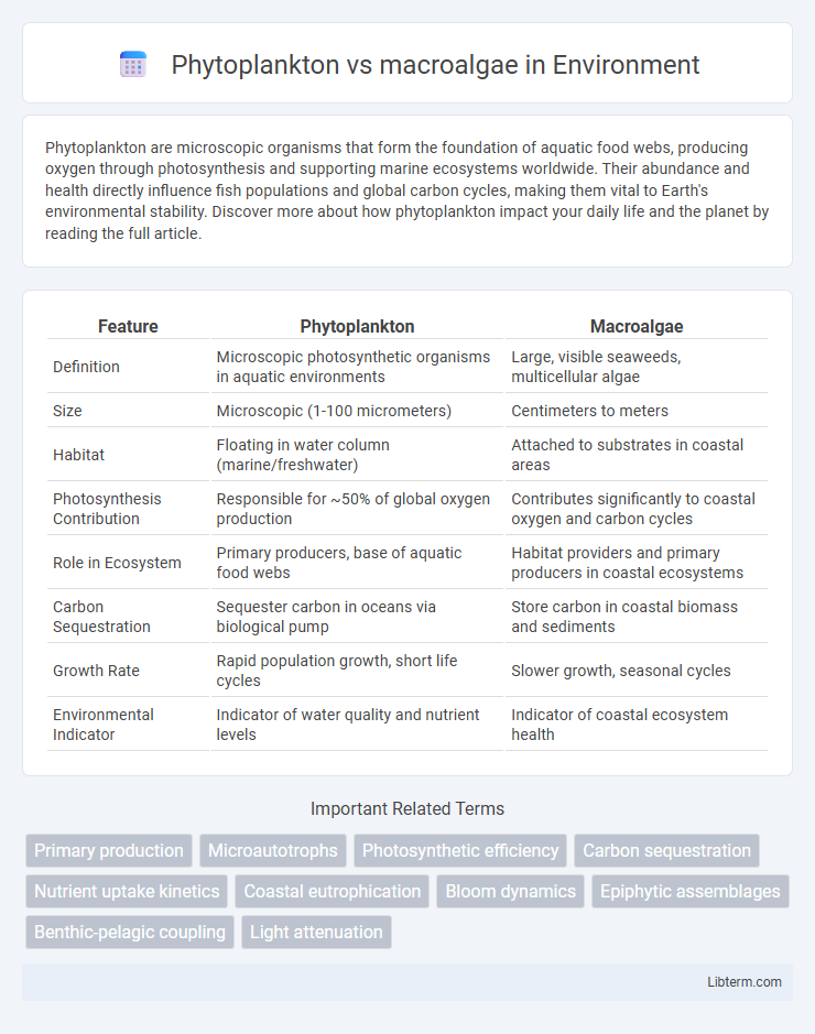 macroalgae vs Phytoplankton in Environment - What is The Difference?