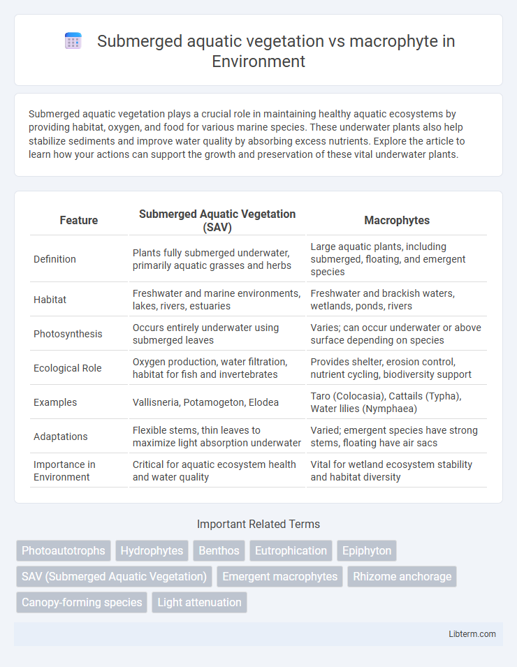 macrophyte vs Submerged aquatic vegetation in Environment - What is The Difference?
