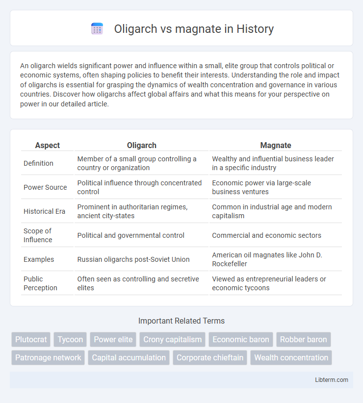 magnate vs Oligarch in History - What is The Difference?