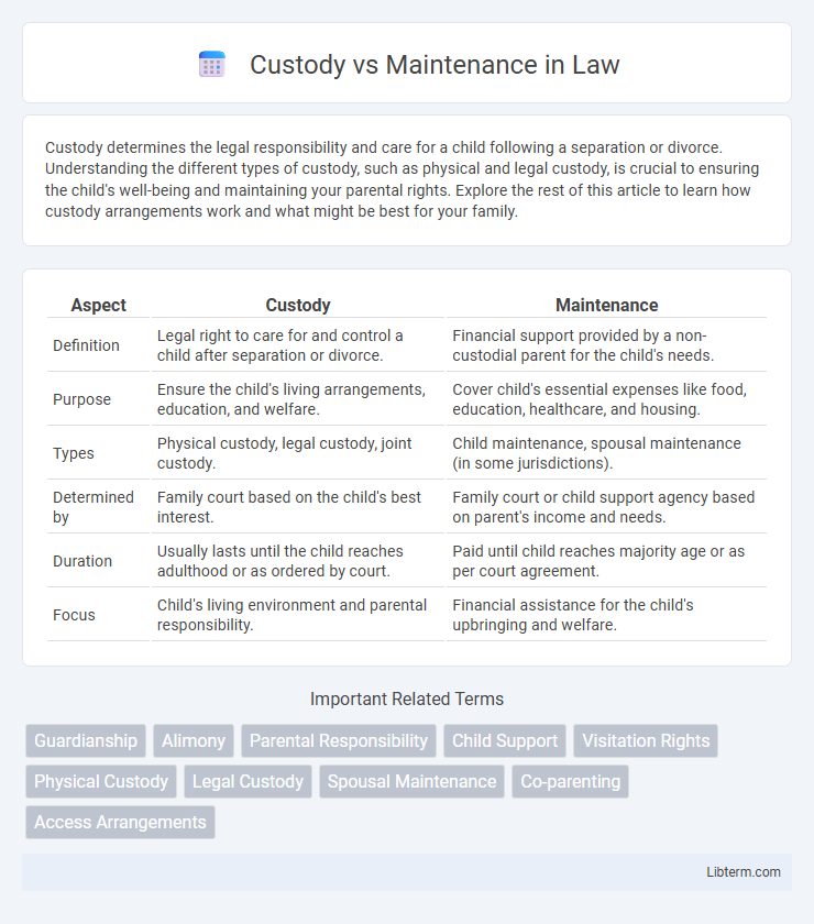 Maintenance vs Custody in Law - What is The Difference?