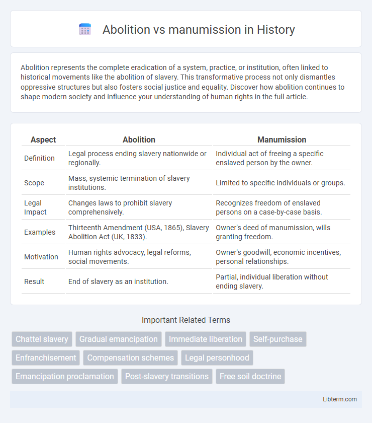 manumission vs Abolition in History - What is The Difference?