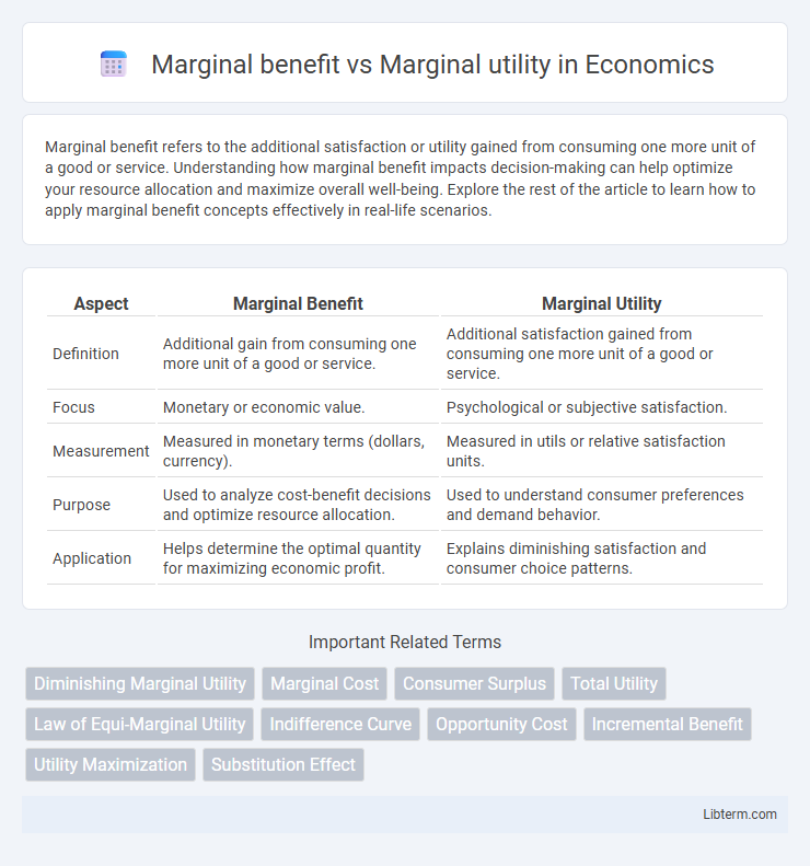 Marginal utility vs Marginal benefit in Economics - What is The Difference?
