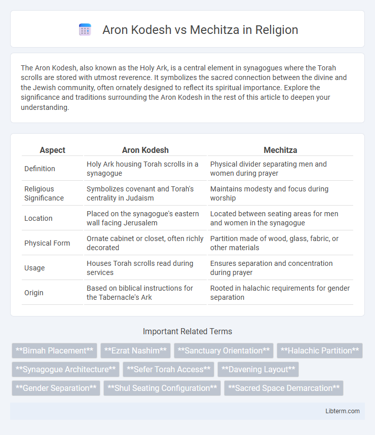 Mechitza vs Aron Kodesh in Religion - What is The Difference?