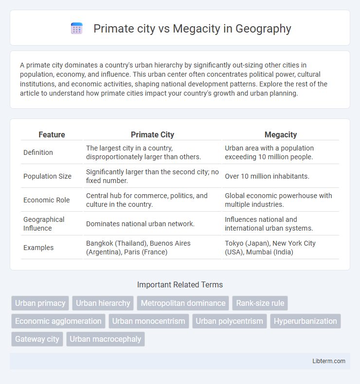 Megacity vs Primate city in Geography - What is The Difference?