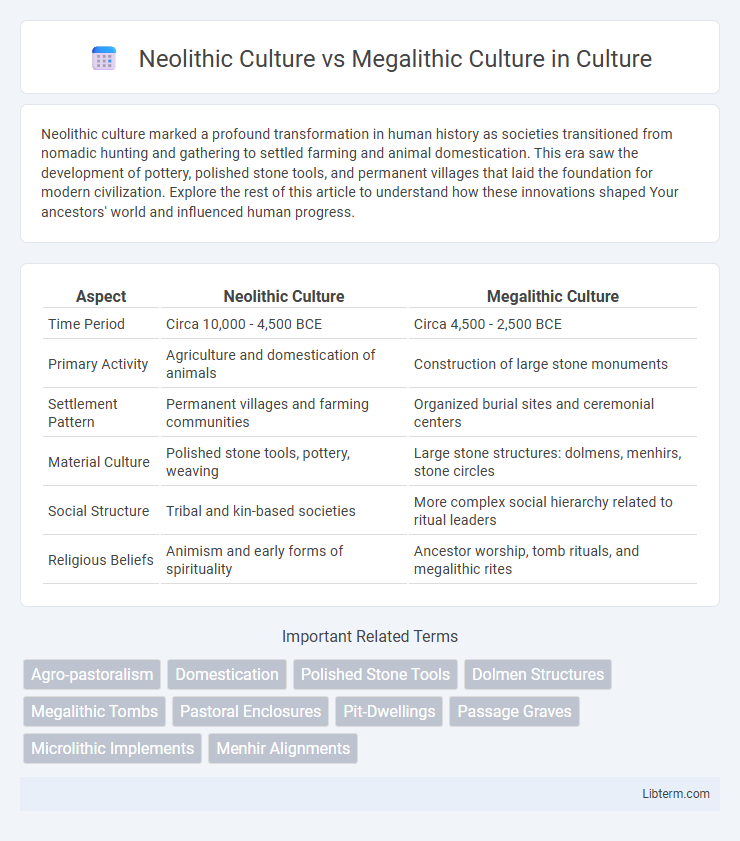 Megalithic Culture vs Neolithic Culture in Culture - What is The Difference?