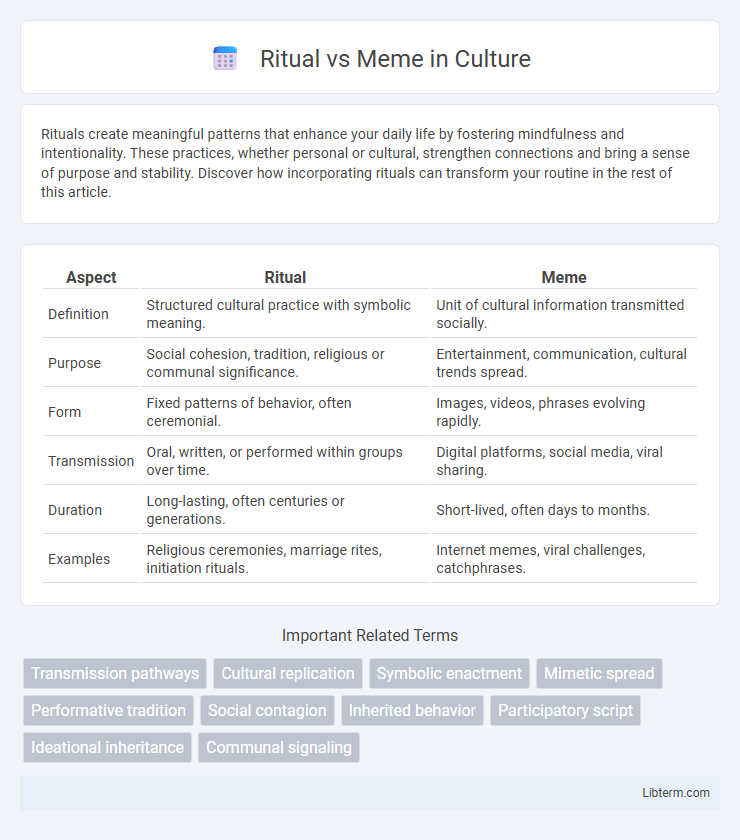 Meme vs Ritual in Culture - What is The Difference?
