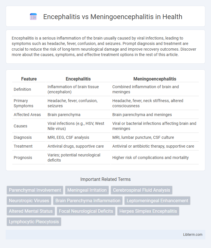Meningoencephalitis vs Encephalitis in Health - What is The Difference?