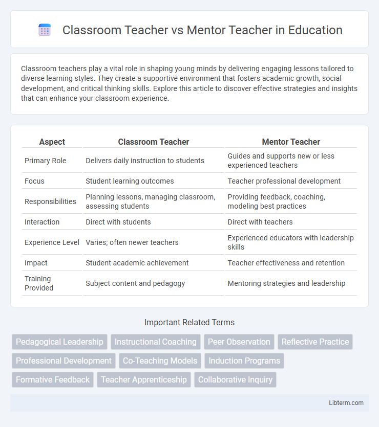 Mentor Teacher vs Classroom Teacher in Education - What is The Difference?