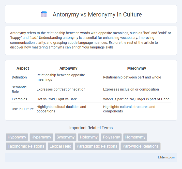 Meronymy vs Antonymy in Culture - What is The Difference?