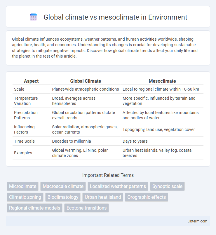 mesoclimate vs Global climate in Environment - What is The Difference?