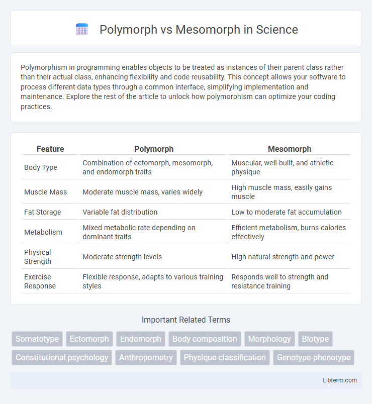 Mesomorph vs Polymorph in Science - What is The Difference?