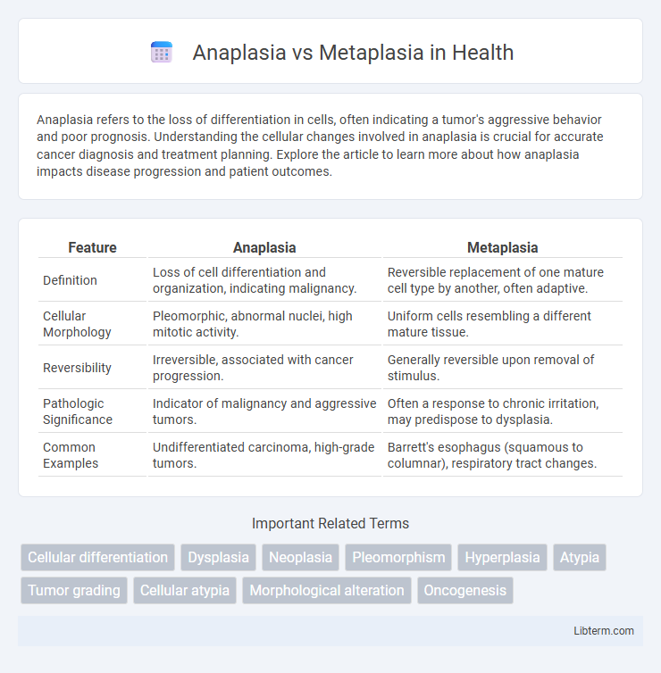 Metaplasia vs Anaplasia in Health - What is The Difference?