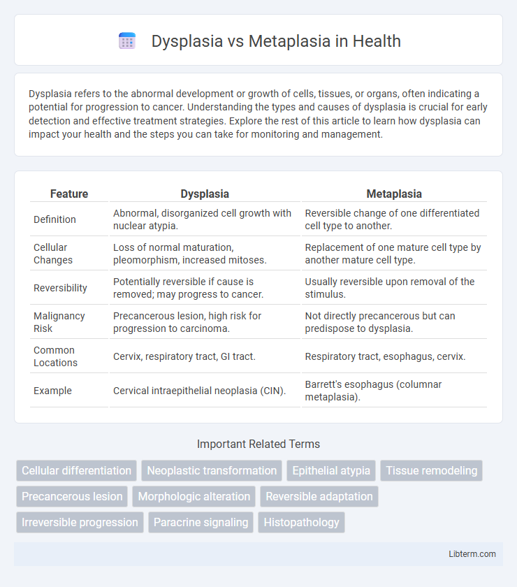 Metaplasia vs Dysplasia in Health - What is The Difference?