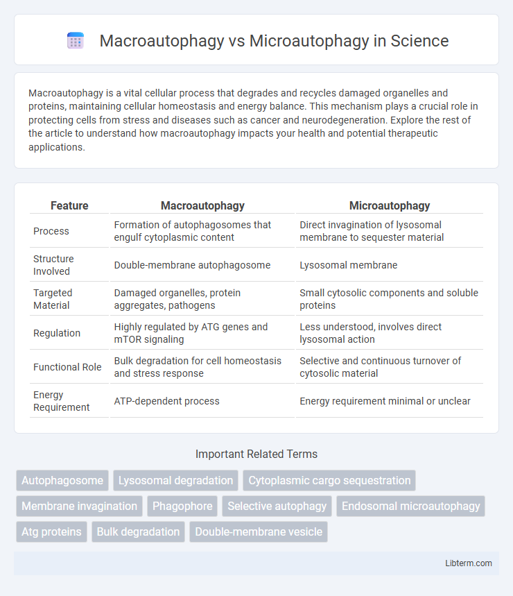 Microautophagy vs Macroautophagy in Science - What is The Difference?