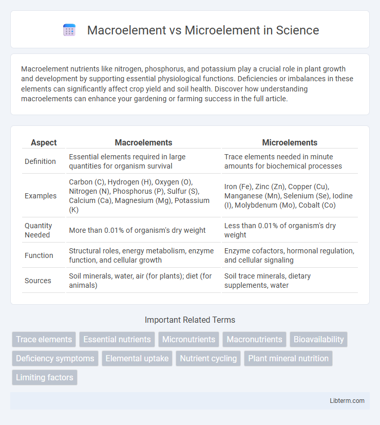 Microelement vs Macroelement in Science - What is The Difference?
