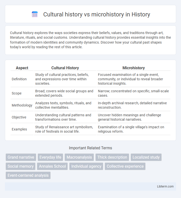 microhistory vs Cultural history in History - What is The Difference?