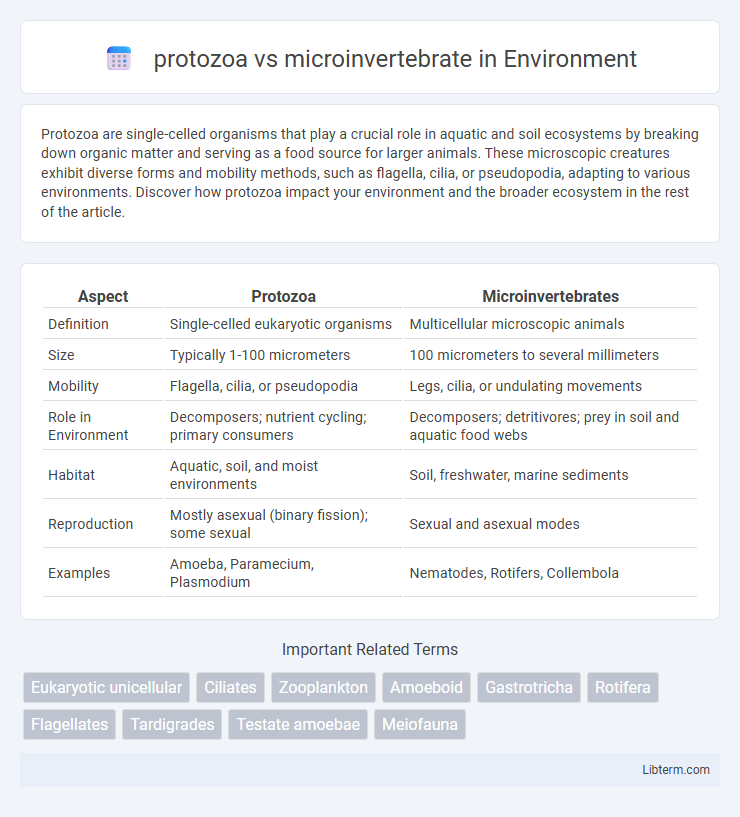 microinvertebrate vs protozoa in Environment - What is The Difference?