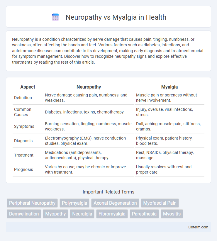 Myalgia vs Neuropathy in Health - What is The Difference?