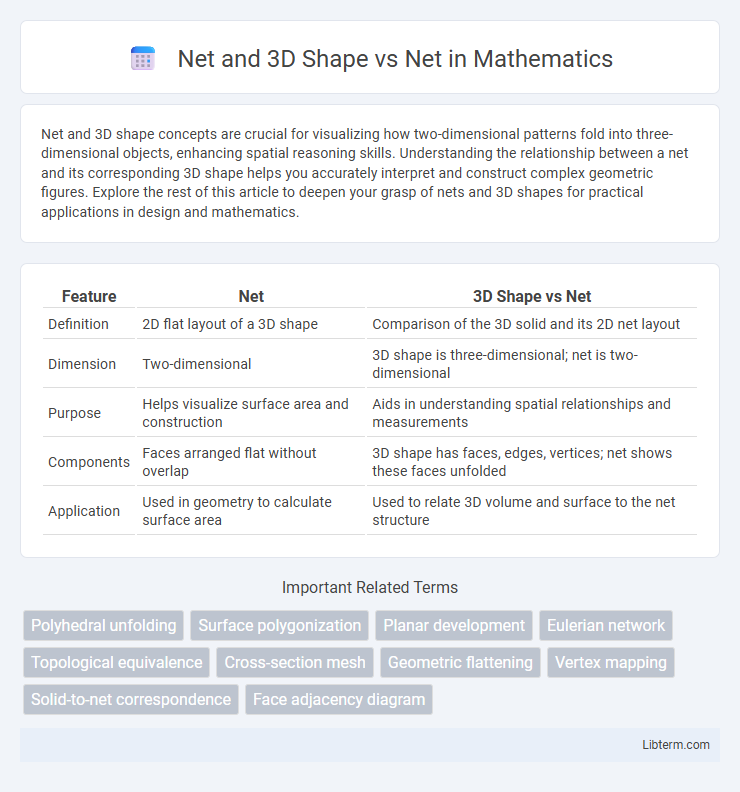 Net vs Net and 3D Shape in Mathematics - What is The Difference?