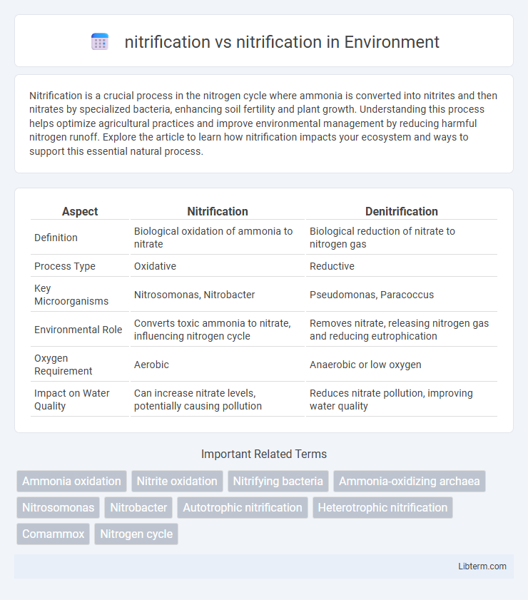 nitrification vs nitrification in Environment - What is The Difference?