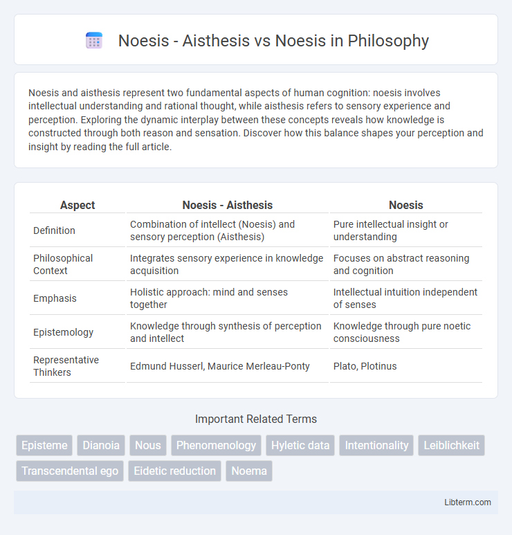 Noesis vs Noesis - Aisthesis in Philosophy - What is The Difference?