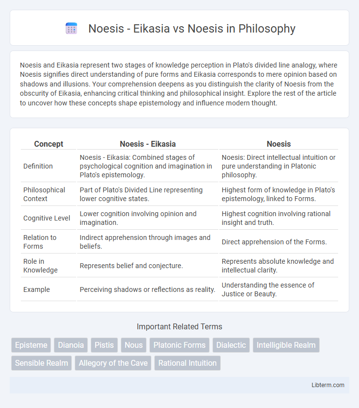 Noesis vs Noesis - Eikasia in Philosophy - What is The Difference?