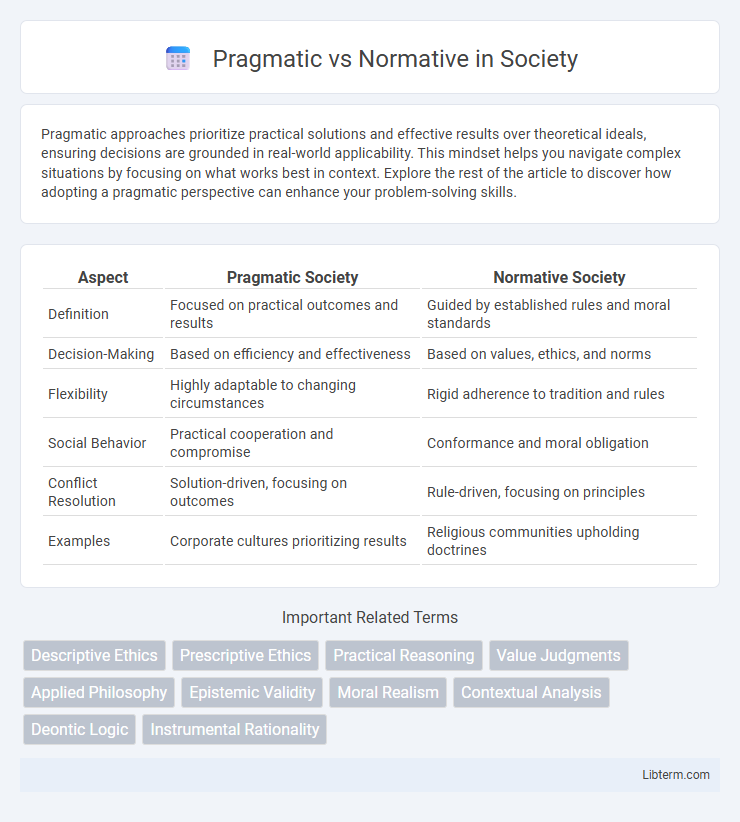Normative vs Pragmatic in Society - What is The Difference?