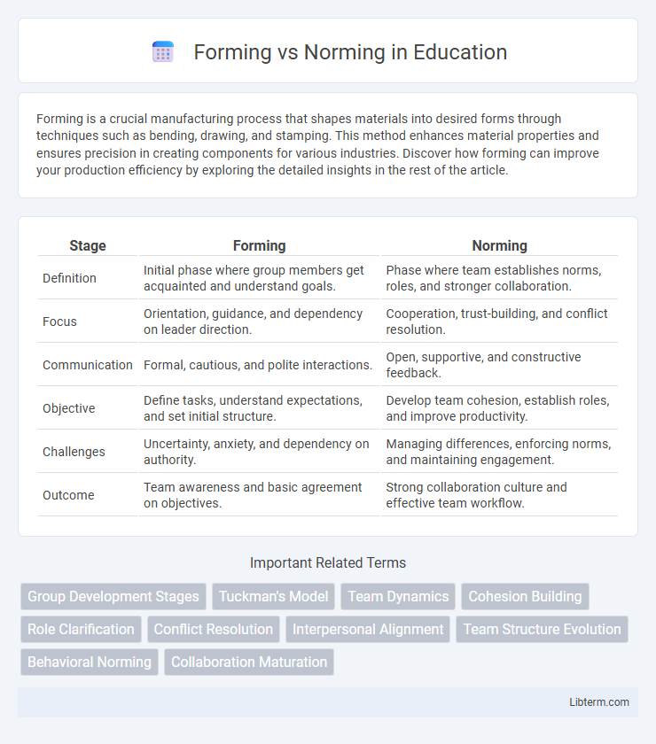 Norming vs Forming in Education - What is The Difference?