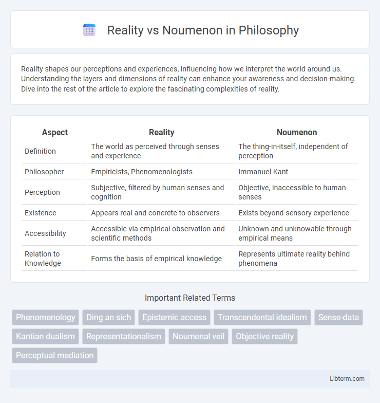 Noumenon vs Reality in Philosophy - What is The Difference?