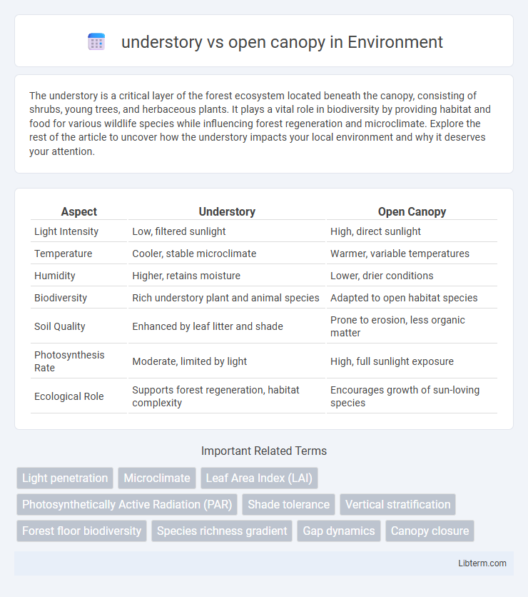 open canopy vs understory in Environment - What is The Difference?