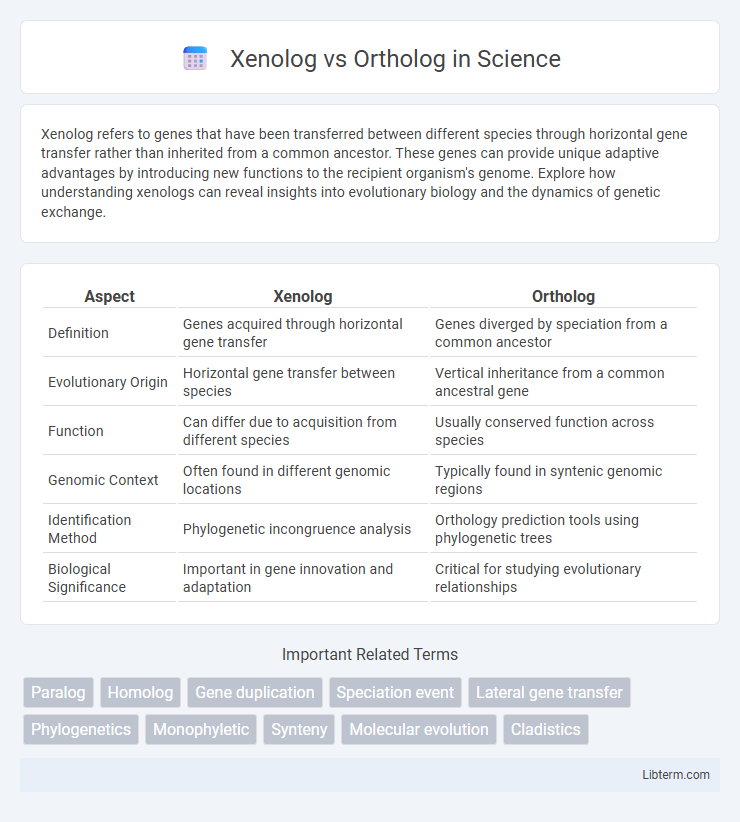 Ortholog vs Xenolog in Science - What is The Difference?