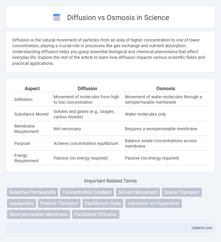 Osmosis vs Diffusion in Science - What is The Difference?