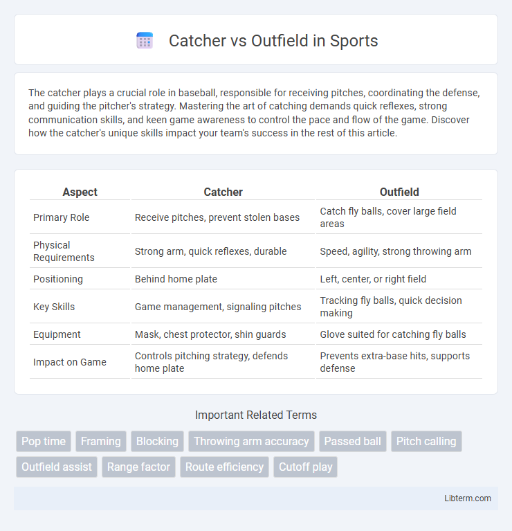 Outfield vs Catcher in Sports - What is The Difference?