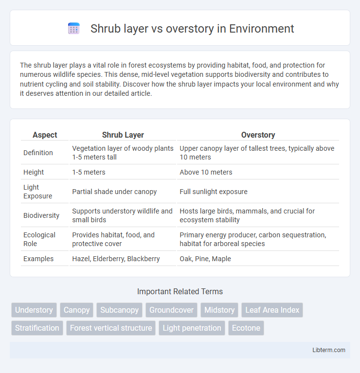 overstory vs Shrub layer in Environment - What is The Difference?