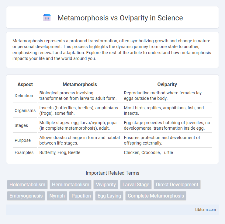 Oviparity vs Metamorphosis in Science - What is The Difference?