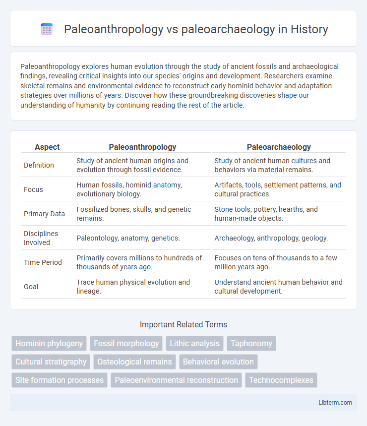 paleoarchaeology vs Paleoanthropology in History - What is The Difference?