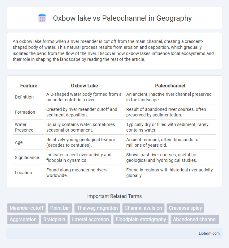 Paleochannel vs Oxbow lake in Geography - What is The Difference?