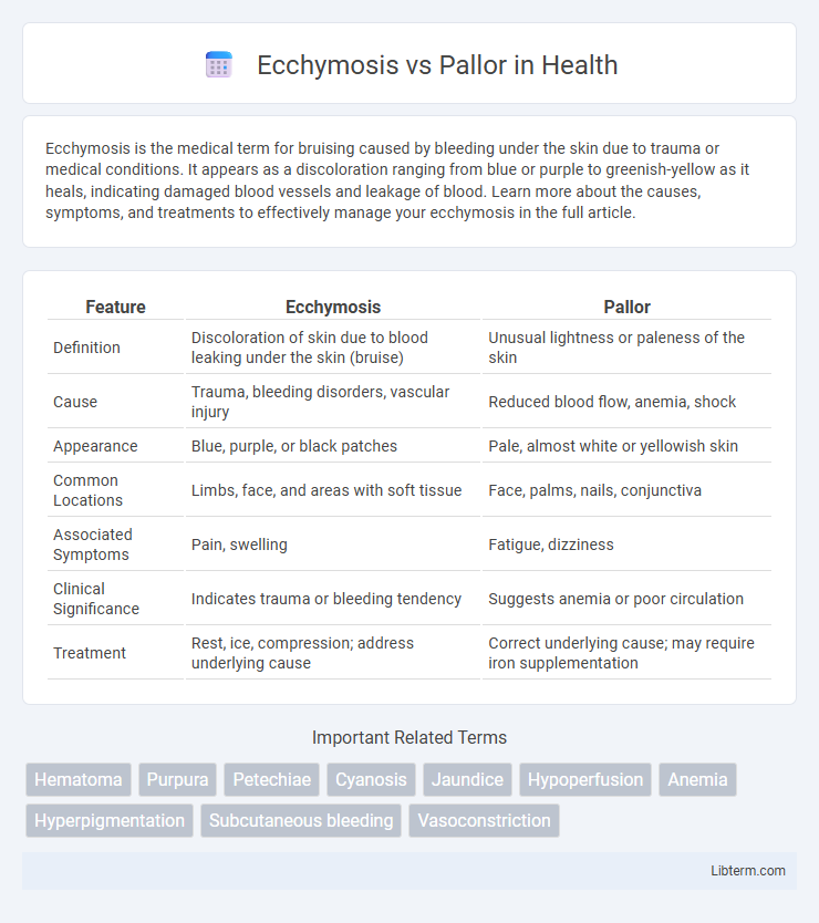 Pallor vs Ecchymosis in Health - What is The Difference?