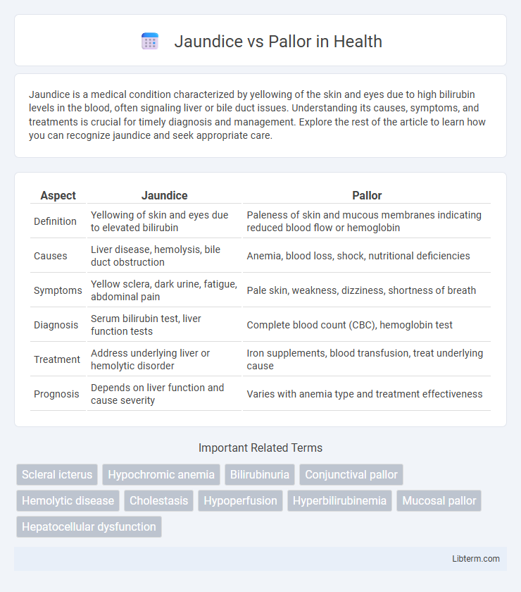 Pallor vs Jaundice in Health - What is The Difference?