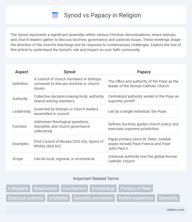 Papacy vs Synod in Religion - What is The Difference?