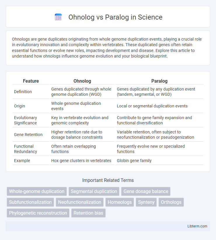 Paralog vs Ohnolog in Science - What is The Difference?