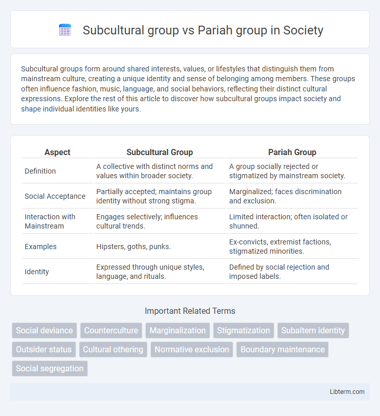 Pariah group vs Subcultural group in Society - What is The Difference?