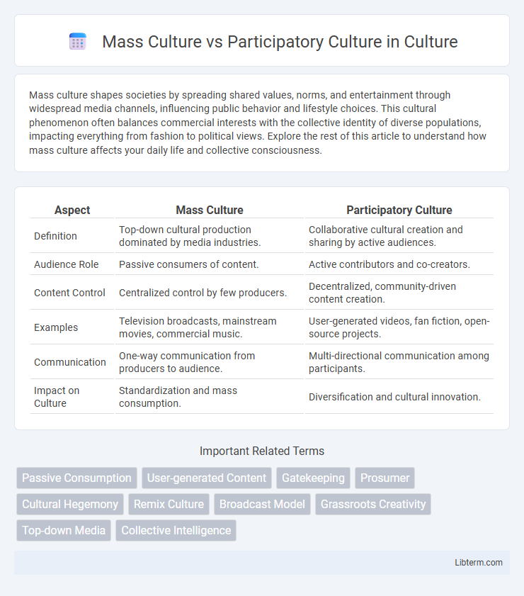 Participatory Culture vs Mass Culture in Culture - What is The Difference?