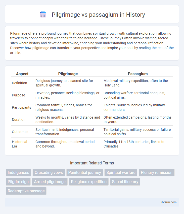 passagium vs Pilgrimage in History - What is The Difference?