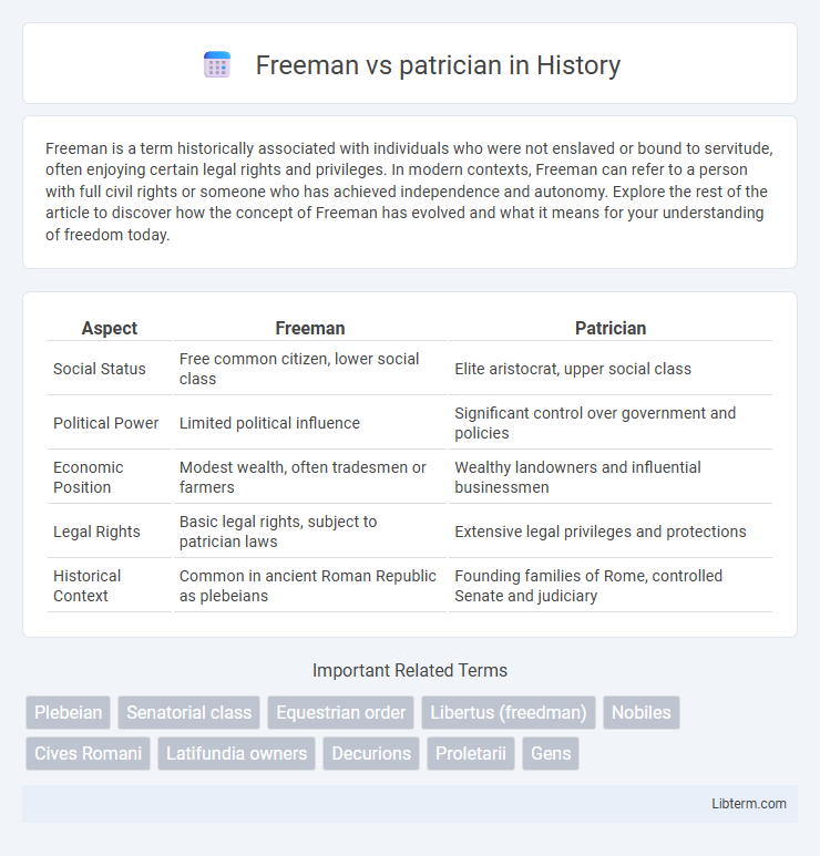 patrician vs Freeman in History - What is The Difference?