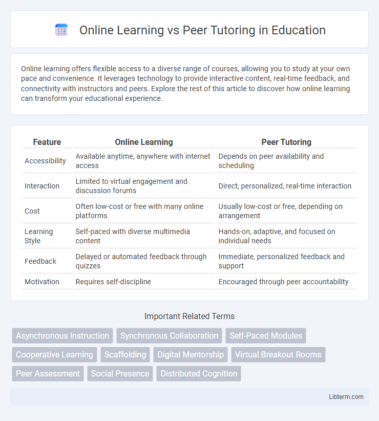 Peer Tutoring vs Online Learning in Education - What is The Difference?