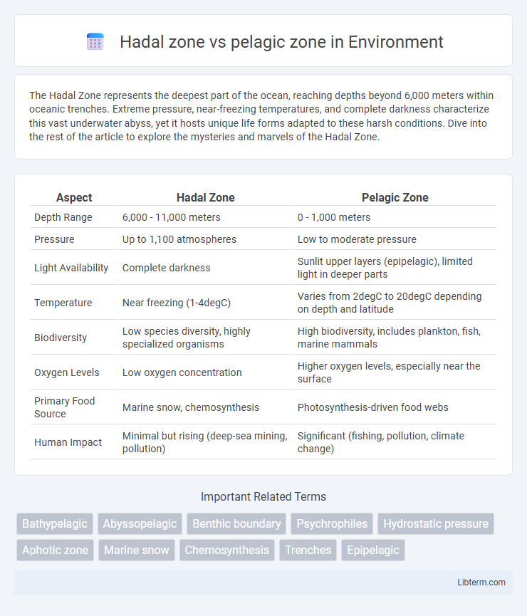 pelagic zone vs Hadal zone in Environment - What is The Difference?