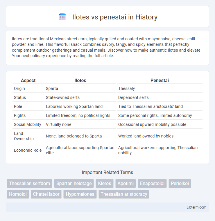 penestai vs Ilotes in History - What is The Difference?
