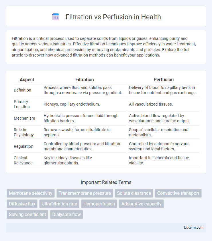 Perfusion vs Filtration in Health - What is The Difference?